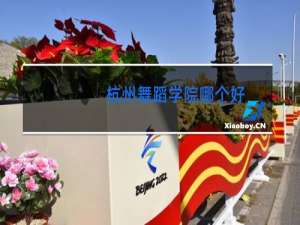 杭州舞蹈学院哪个好