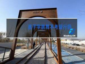 孩子学跳舞不考级行吗