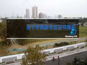 孩子学舞蹈考级证书舞蹈协会和民间民族舞蹈协会哪个有权威性
