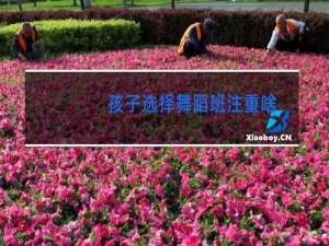 孩子选择舞蹈班注重啥