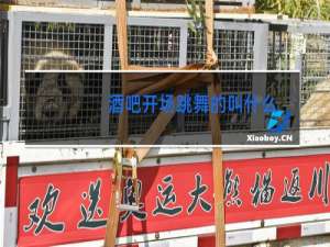 酒吧开场跳舞的叫什么