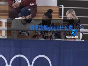 酒吧跳舞gogo什么意思