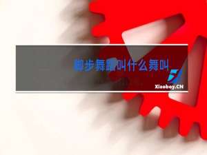 脚步舞蹈叫什么舞叫