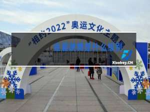 金晨跳舞是什么级别