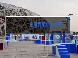 金晨舞蹈什么水平