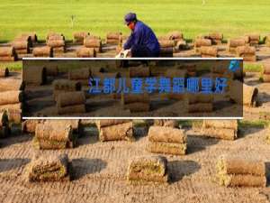 江都儿童学舞蹈哪里好