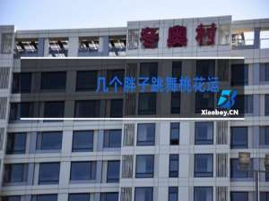 几个胖子跳舞桃花运