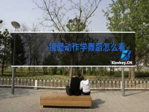 镜面动作学舞蹈怎么看