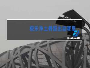 极乐净土舞蹈出自哪里