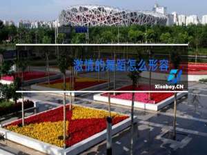 激情的舞蹈怎么形容