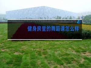 健身房里的舞蹈课怎么样