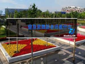 健身房舞蹈老师教什么