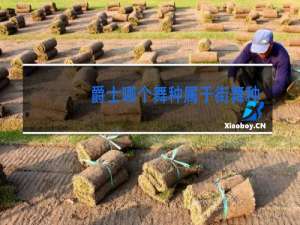 爵士哪个舞种属于街舞种类