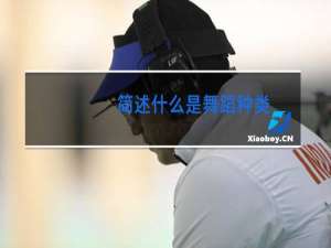 简述什么是舞蹈种类