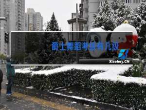 爵士舞蹈考级有几级