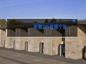 街舞2叶音哪个队