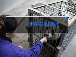 街舞4决赛在哪里