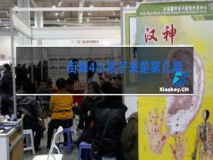 街舞4小孩子来是第几期