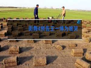 街舞4预告王一博为啥哭