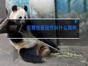 街舞地板动作叫什么舞种