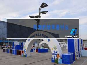 街舞的给手是什么