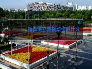 街舞倒立定格动作叫什么