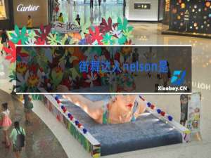 街舞达人nelson是哪个国家