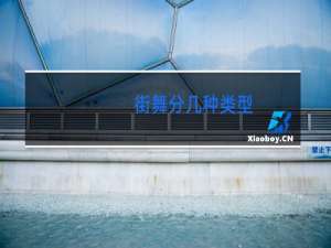 街舞分几种类型