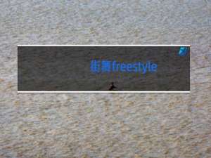 街舞freestyle什么意思