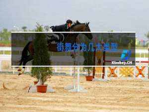 街舞分为几大类型