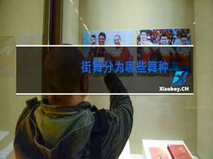 街舞分为哪些舞种