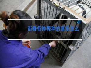 街舞各种舞种的音乐怎么听