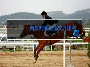 街舞几季队长实力排名