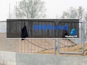 街舞里的battle是什么意思