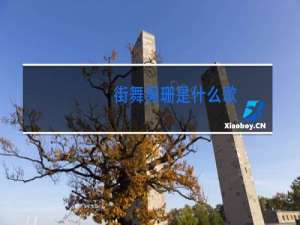 街舞阑珊是什么歌