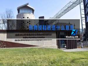 街舞摸鞋底是什么意思