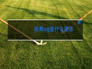 街舞og是什么意思