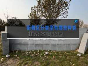 街舞区分类型有哪些种类