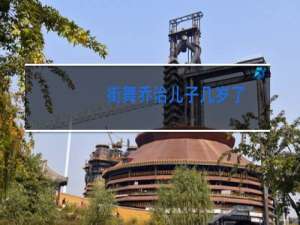 街舞乔治儿子几岁了