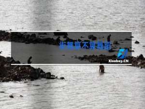 街舞算不算舞蹈