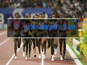 街舞少年里面分几个品种舞