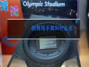 街舞甩手舞叫什么名