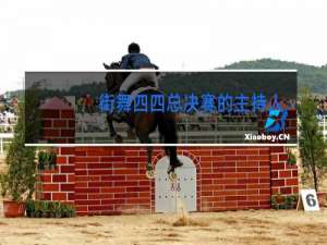 街舞四四总决赛的主持人是谁