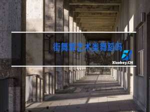 街舞算艺术类舞蹈吗