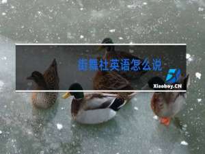 街舞社英语怎么说