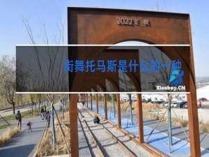 街舞托马斯是什么的一种