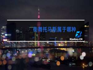 街舞托马斯属于哪种