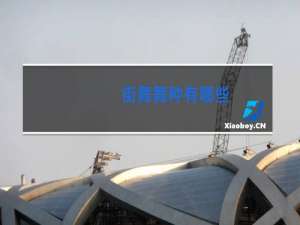 街舞舞种有哪些