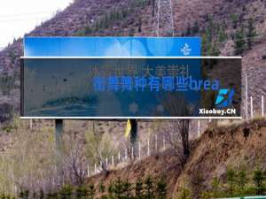 街舞舞种有哪些breaking