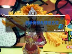 街舞舞种有哪些名称